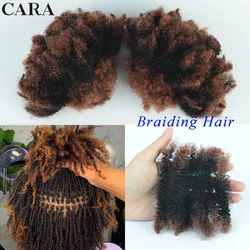 Extensions de mèches de cheveux humains bouclés crépus pour femmes, cheveux humains en vrac sans nœud, boîte de tressage, tresses au crochet, noir, 4B, 4C