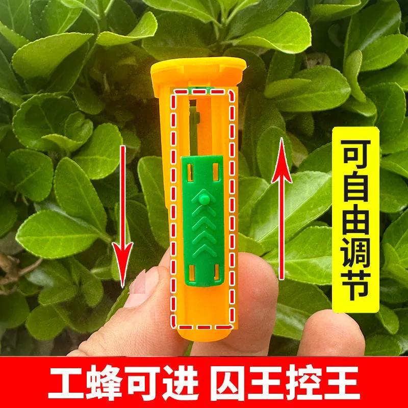 5/10Pcs Queen Bee Post Cage Beekeeping Queen Cages Move Transmit Grid Box Bee Marking Cage Beekeeping Tools Supplies