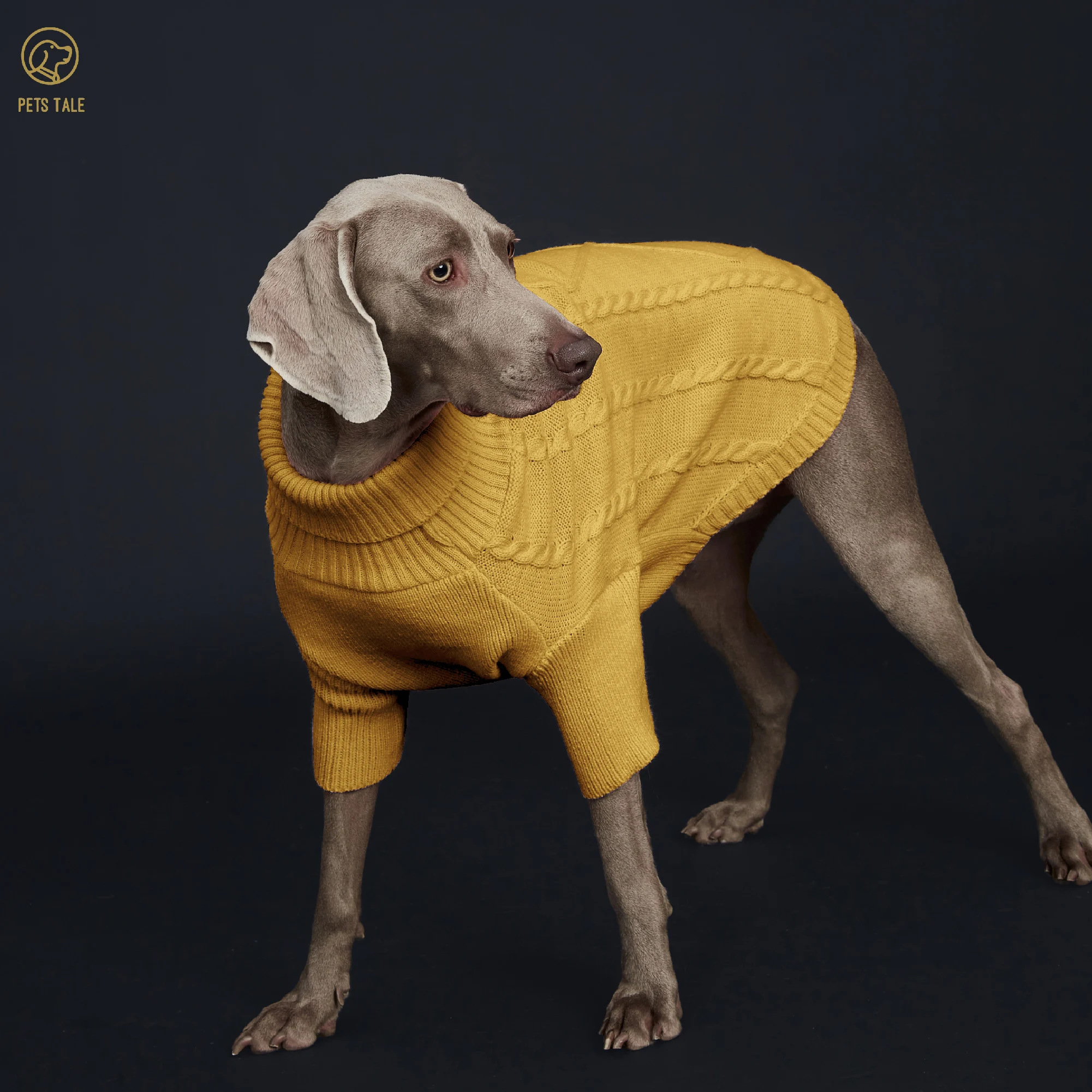 Spring Summer 12 GAGUE Sweater with Sleeves, Cable Knit, and D-ring Hole Detail for Small and Large Dogs