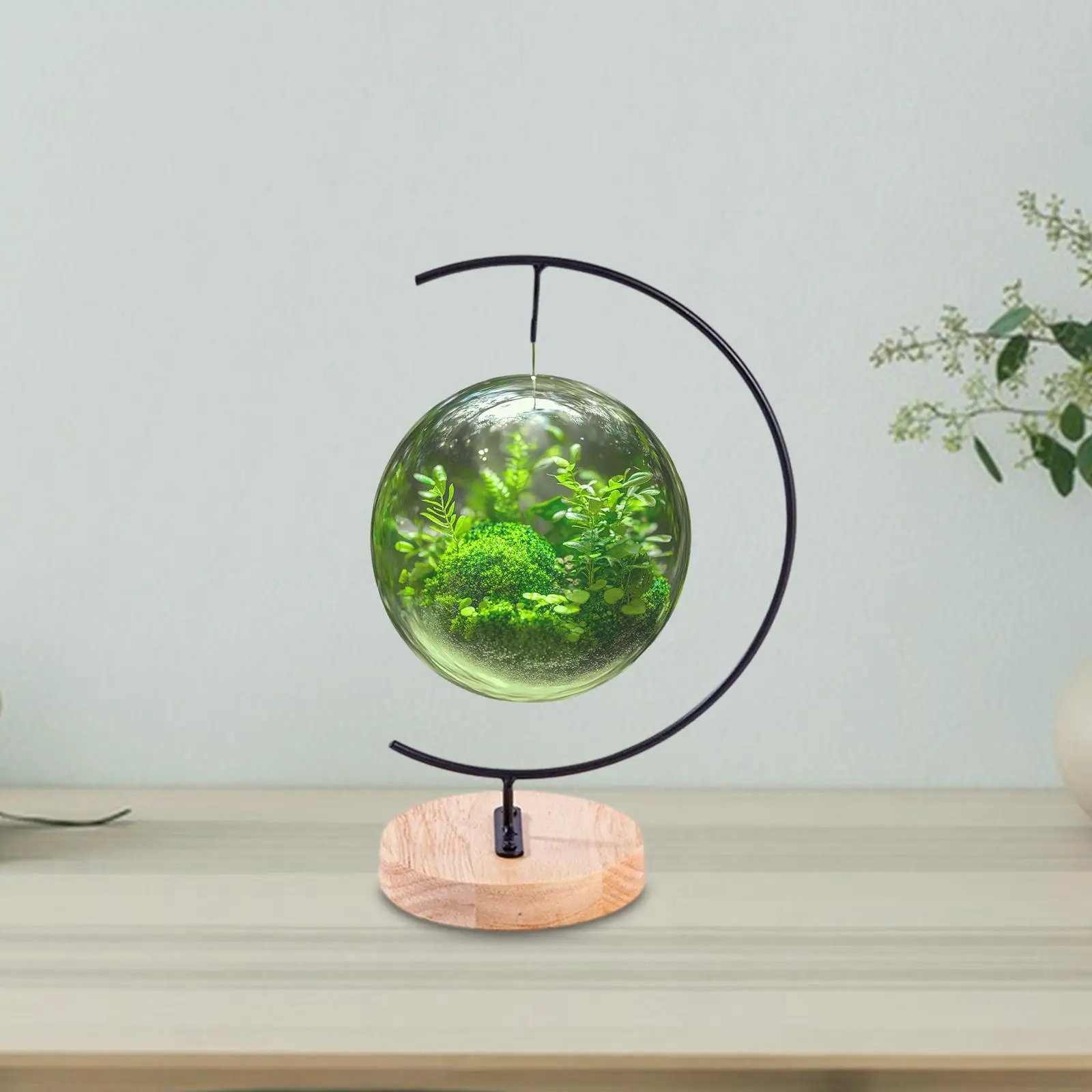 Terrarium Ornament Display Stand Glass Globe Holder Decorative Stable with Wood Base for Air Plant Wedding