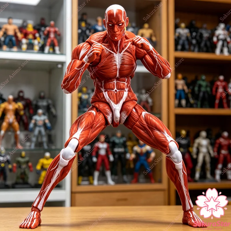 

【In Stock】1/12 Scale Keepgoing Human Muscle Model Super Movable Joint Body with Painting Art Reference Collectible Action Figure