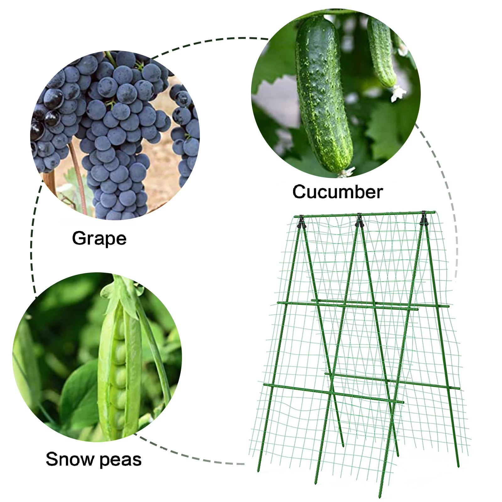 Conjunto de enrejado de pepino, Marco A para soportes de cultivo de plantas vegetales de jardín, ajuste de planta trepadora desmontable de 48x48