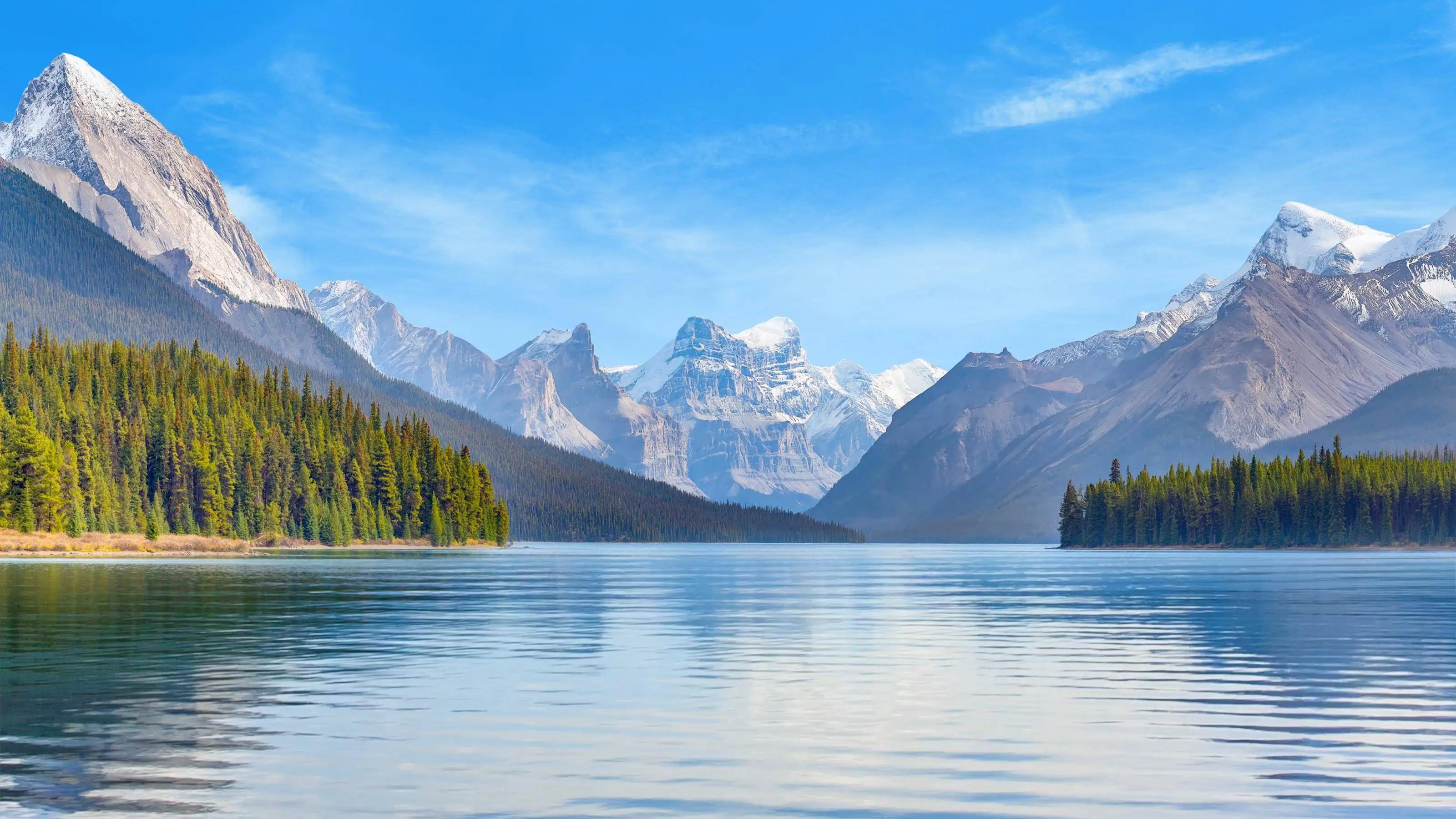 

3-Wavelength Diode Laser Hair Removal Machine 808NM Painless Permanent Ice Platinum Cooling System for Beauty Treatments