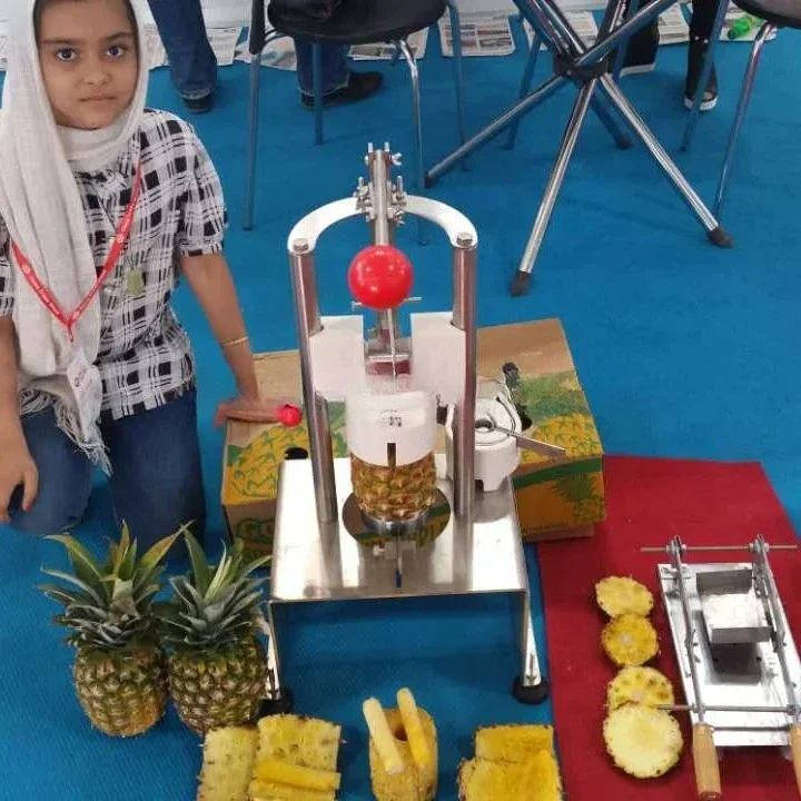 

New Style SUS304 Pineapple Slicing Machinery/pineapple Peeler Machine/pineapple Peeler
