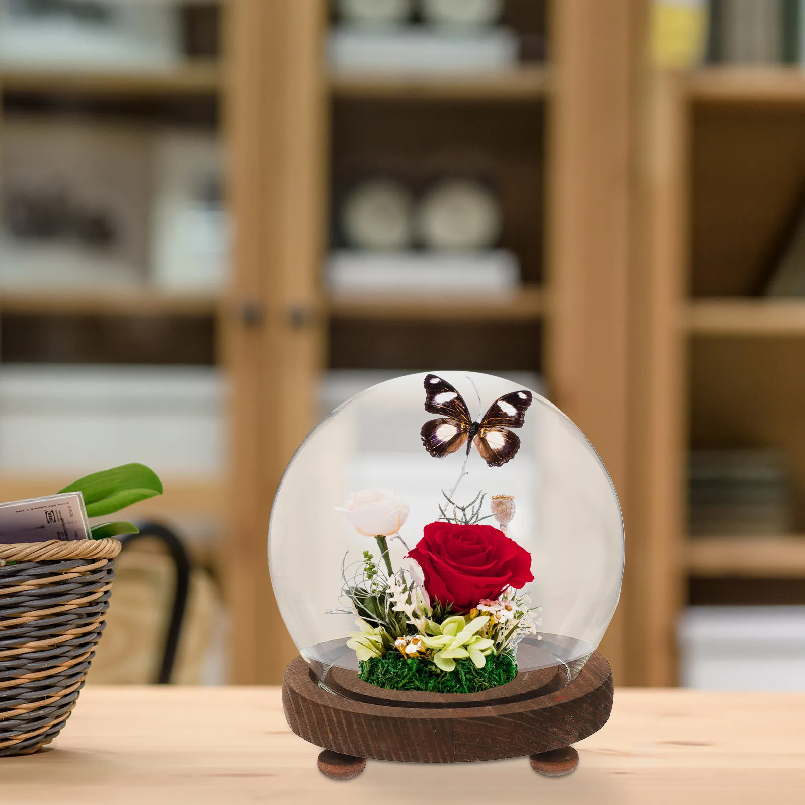 Miniature Glass Display Dome Round Clear Glass Dome with Wood Base Perfect for DIY Micro Landscape Home Decoration Preserved