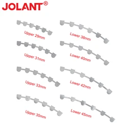 2pcs/Bag JOLANT Dental Orthodontic Bondable Lingual Retainers Mesh Base Upper/Lower 29/31/33/35/38/40/42/45mm Dental Materials
