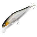 MINNOW A