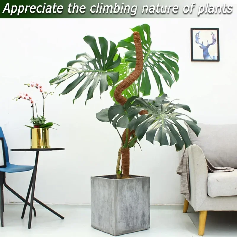 

Durable 80cm Bendable Coco Coir Moss Pole Plant Cage for Monstera Plant Climbing