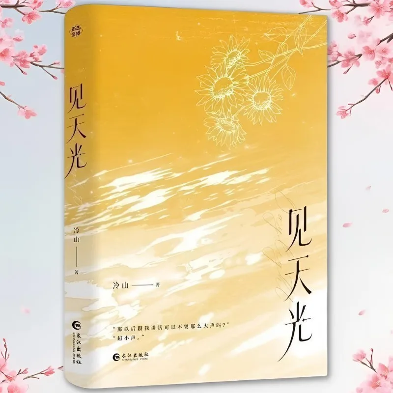 See The Light Chinese Soft Campus BL Novel Pure Teen Healing Growth Literary Fiction Book