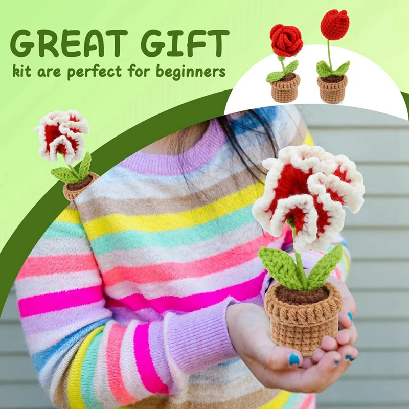 Complete Crochet Kit Spare Parts For Beginners,6 Pcs Crochet Potted Flowers Kit With Step-By-Step Instructions Video Tutorials