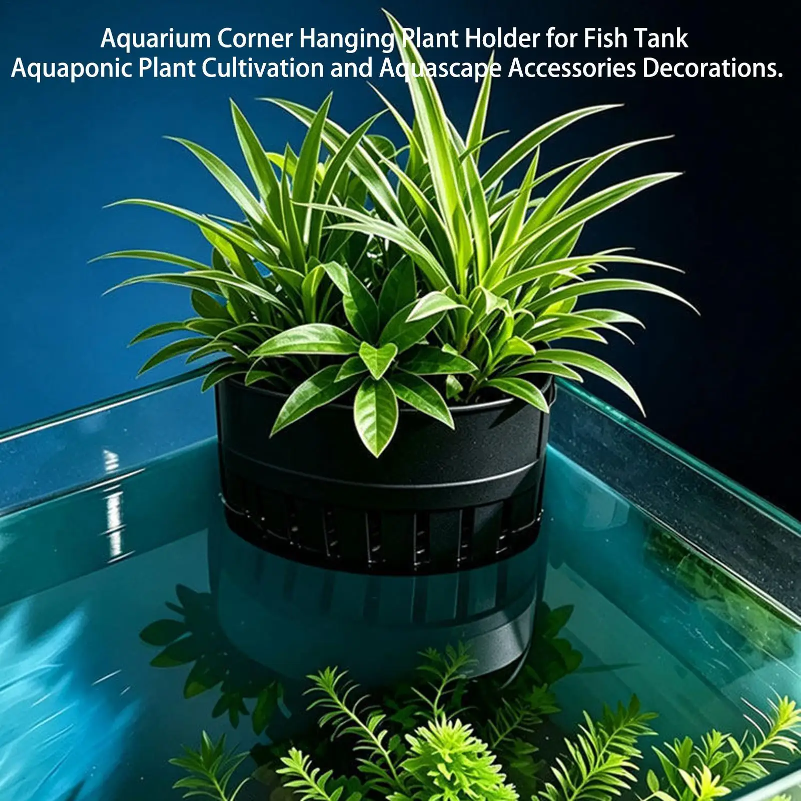 Aquarium-Pflanzenkorb Hydroponischer Fischbecken-Hängedekorationstopf Aquatische Pflanzenhalterung Aquatische Pflanzentasse Fischbecken-Pflanzgefäß – Detail 11