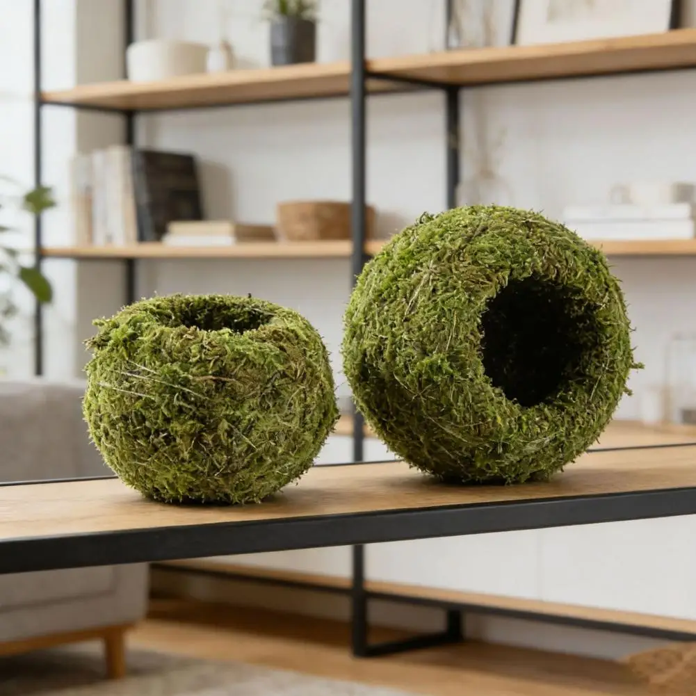 Air Plant Moss Holder Moss Ball Flower Pot Creative Natural Moss Planter Decorative Bonsai Plant Holder for DIY Gardening Home T