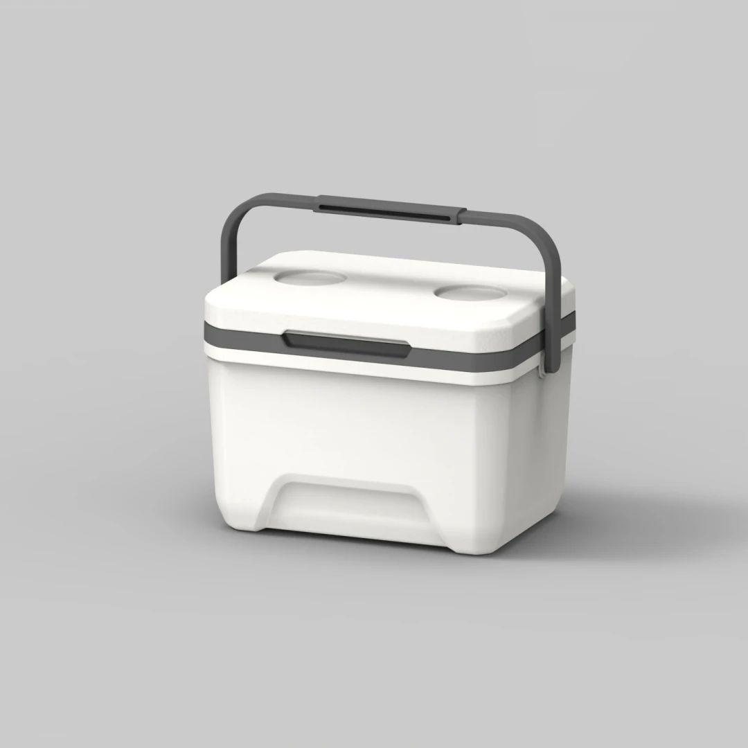 

6L Custom Logo Wholesale Food Preservation Multi-functional Picnic Ice Insulated Cooler Box with Handle