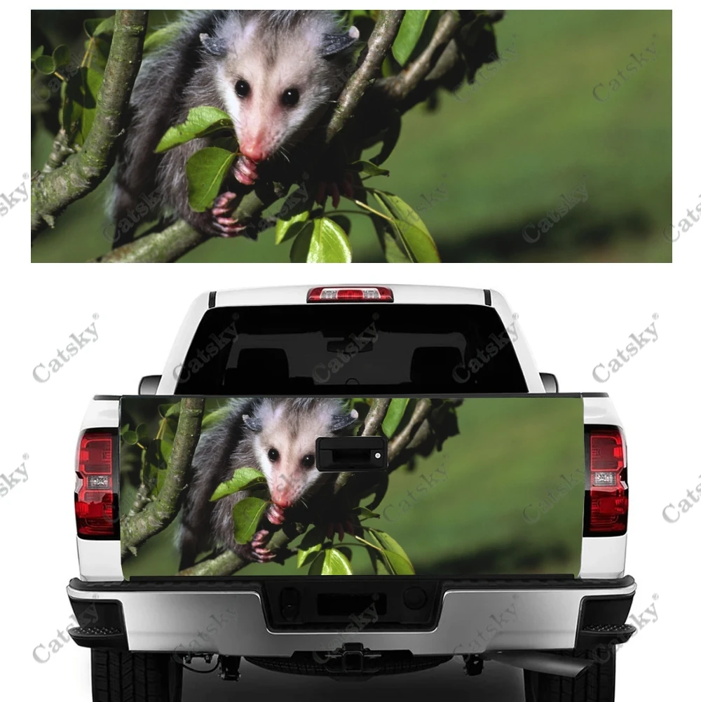 

North American Opossum Car stickers rear end exterior modification kit vinyl painting suitable for car truck stickers decals