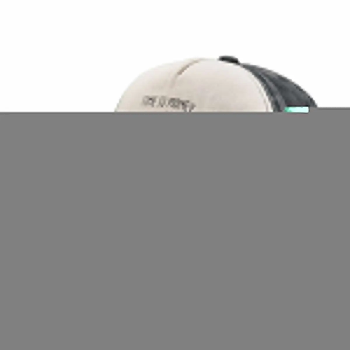 Le temps c_est de l_argentessentiel Baseball Cap Sunhat Designer Hat Caps For Women Men's