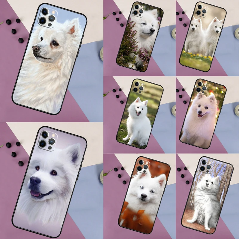 Japanese Spitz Dog … - image