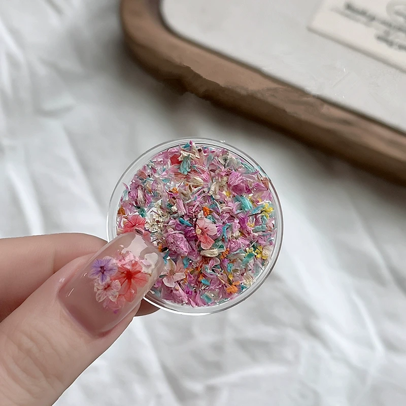 

500 Dried Flowers Wholesale, Various Styles, Natural Plant Real Flowers, Nail Art Decorations, Pressed Flowers, DIY Resin Small Flowers, Nail Ornaments, Japanese Style, Instagram Style, Mini Nail Art