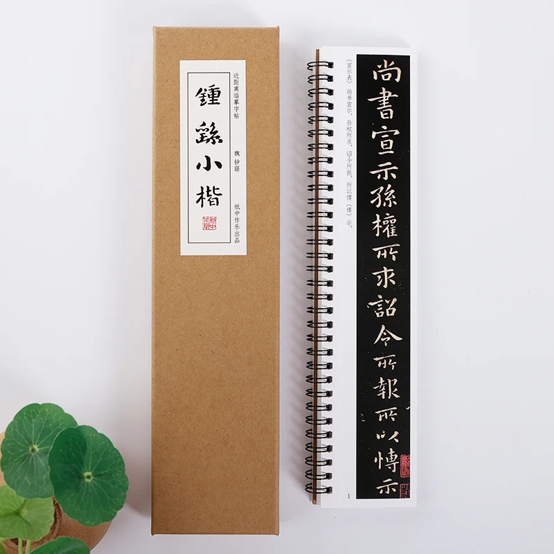 Complete Collection Calligraphy Copybook Professional Small Regular Script Brush Calligraphy Tracing Practice Character Copybook