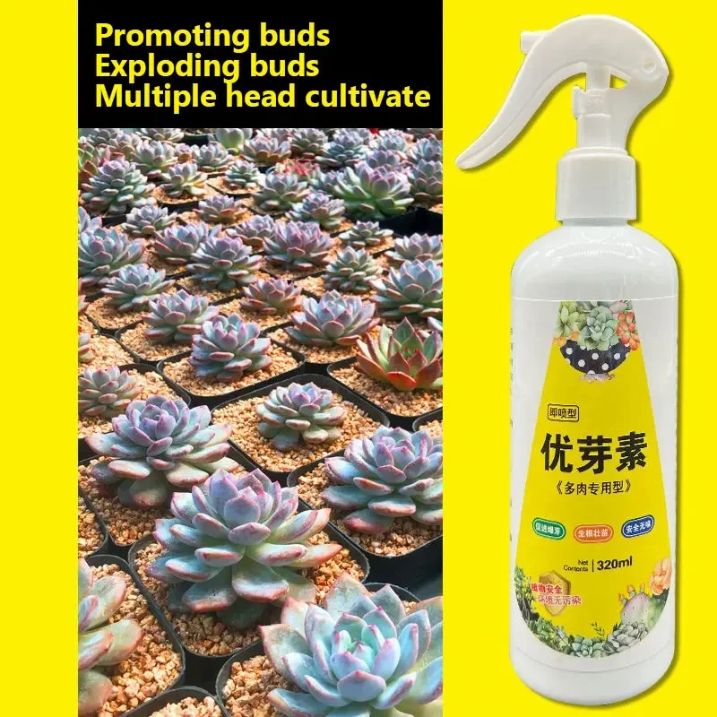 Succulent Plant Eugenin Promotes Budding, Dwarf Fat, Prevents Leggy Organic Granules 320ml