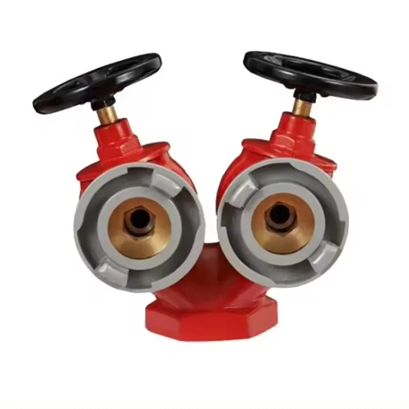 

2 1/2 inch Fire Protection Ductile Cast Iron Cabinet SNSS65 System Double-outlet Fire Hydrant Valve