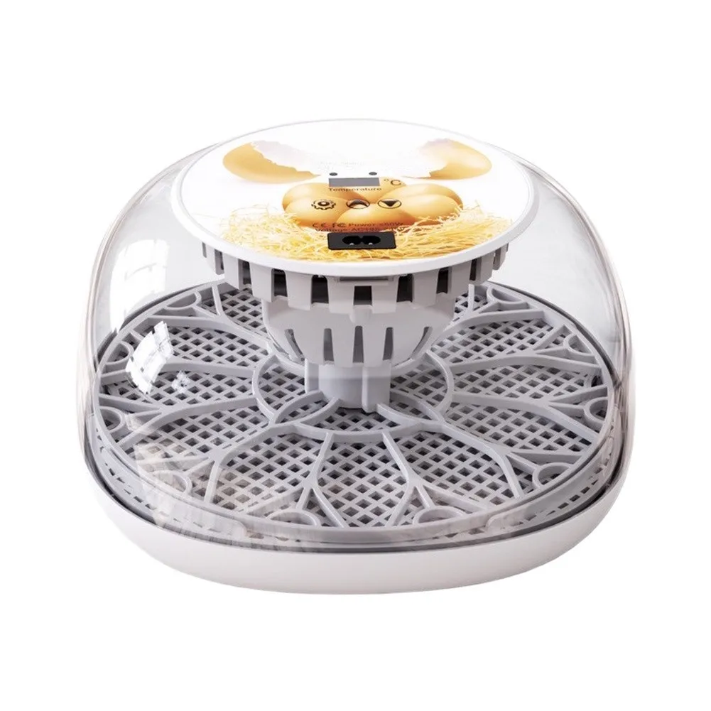 US Standard 12-Egg Automatic Incubator for Classroom Science Projects and Home Hatching Experiments with Turbo Fan