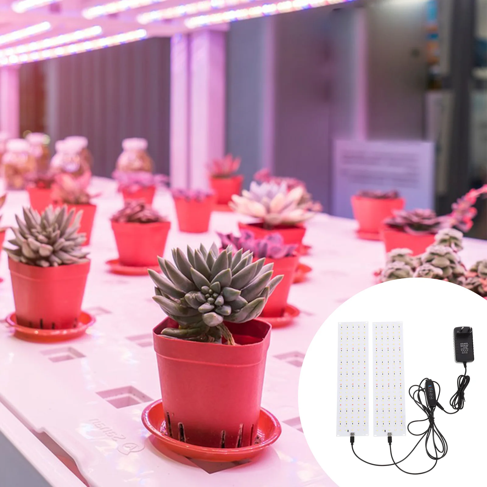 

LED Plant Grow Lights Full for Indoor Plants Growing Automatic Lamp Suitable Greenhouse Home Plant Lights