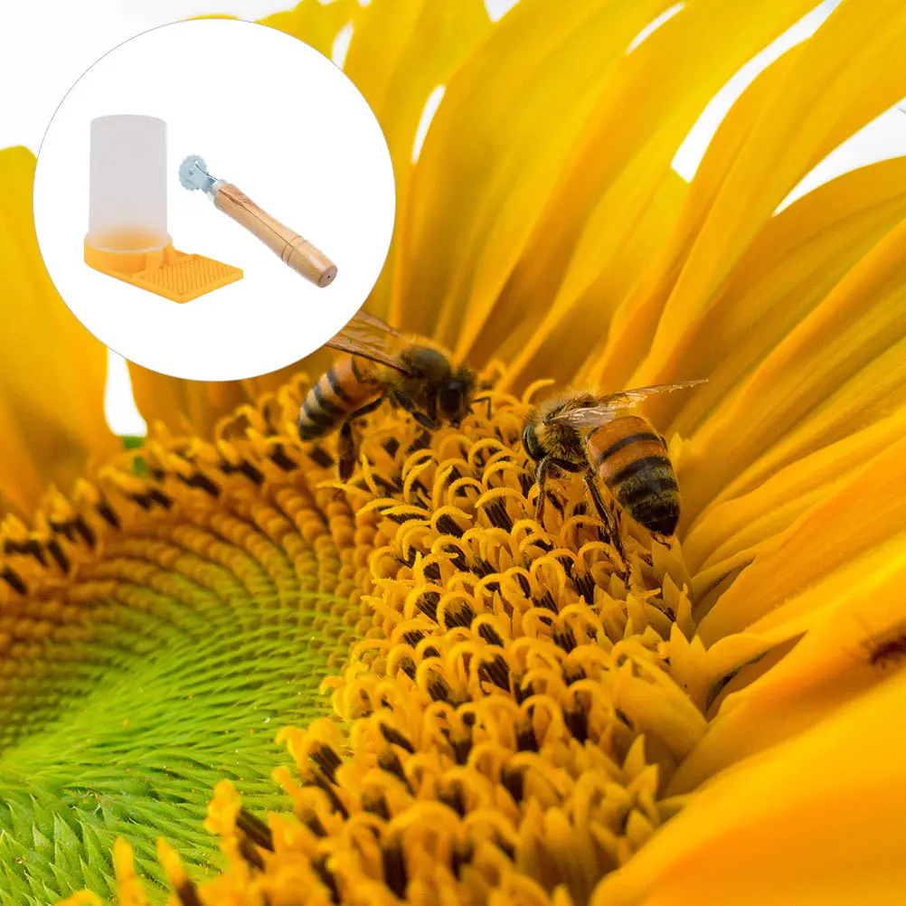 

2Pcs Bee Water Feeder Eco Friendly Material Safe for Bees Large Capacity Longer Use Time Beekeeping Equipment Bee Feeder