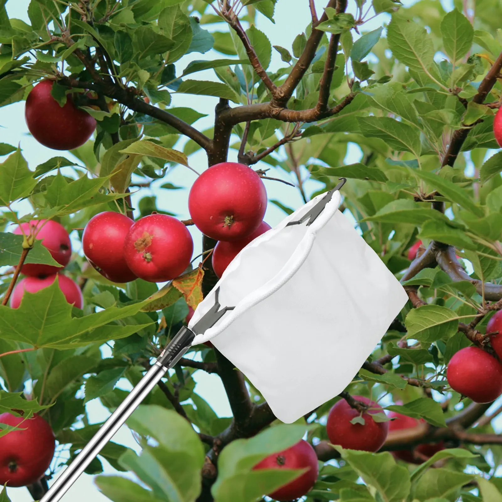 

Fruit Picker Head Convenient Fruit Picker Catcher with Storage Bag Apple Peach Picking Farm Garden Picking Device Garden tools