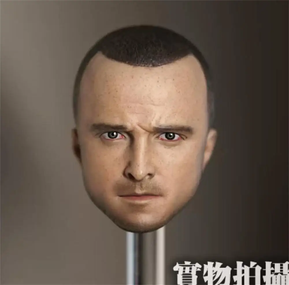 

For Sale 1/6 The Breaking Series Bad Paul Handsome Guy Male Head Sculpt Carving For 12" PH COO DAM Action Figure