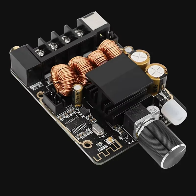 BTLIFE-Audioversterkermodule Digitale versterkermodule TPA3116 Audioaccessoires Stereo