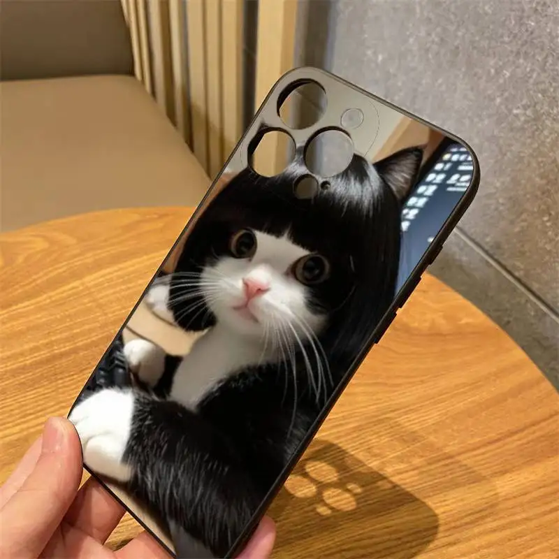 

Funny Cat Phone Case For IPhone16 15 14 13 12 Mini 11 Pro XS Max X XR SE5 6 7 8 Plus Soft Silicone Cover