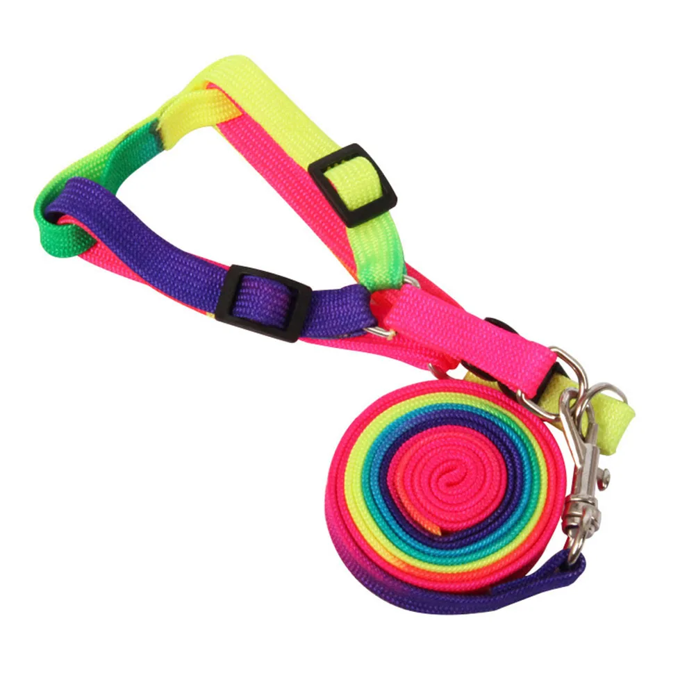 

2Pcs Colorful Dog Traction Rope Strong Durable Pet Dog Pull Strap Outdoor Puppy Leash Pet Supplies Puppy Leash