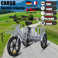 ELEKGo EGO03 Electric Cargo Tricycle 250W 500W 48V 18Ah Removable Battery 20*3 Inch Tire Adults 3wheel Electric bike With Basket