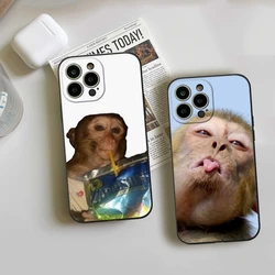 Monkey Sipping Caprisun Meme Phone Case For iphone14 11 12 Pro 8 7 Plus SE 2020 X Pro 14 MAX 12 13 MINI XR XS Soft Phone Covers