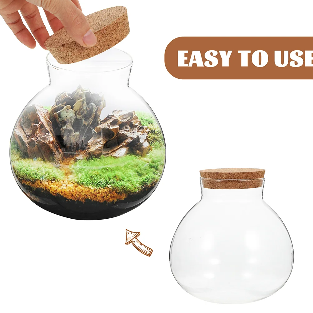 Desktop Micro-landscape Bottle Vase Empty DIY Cork Plant Terrarium Decorative Landscaping Container Glass Jar with Lid