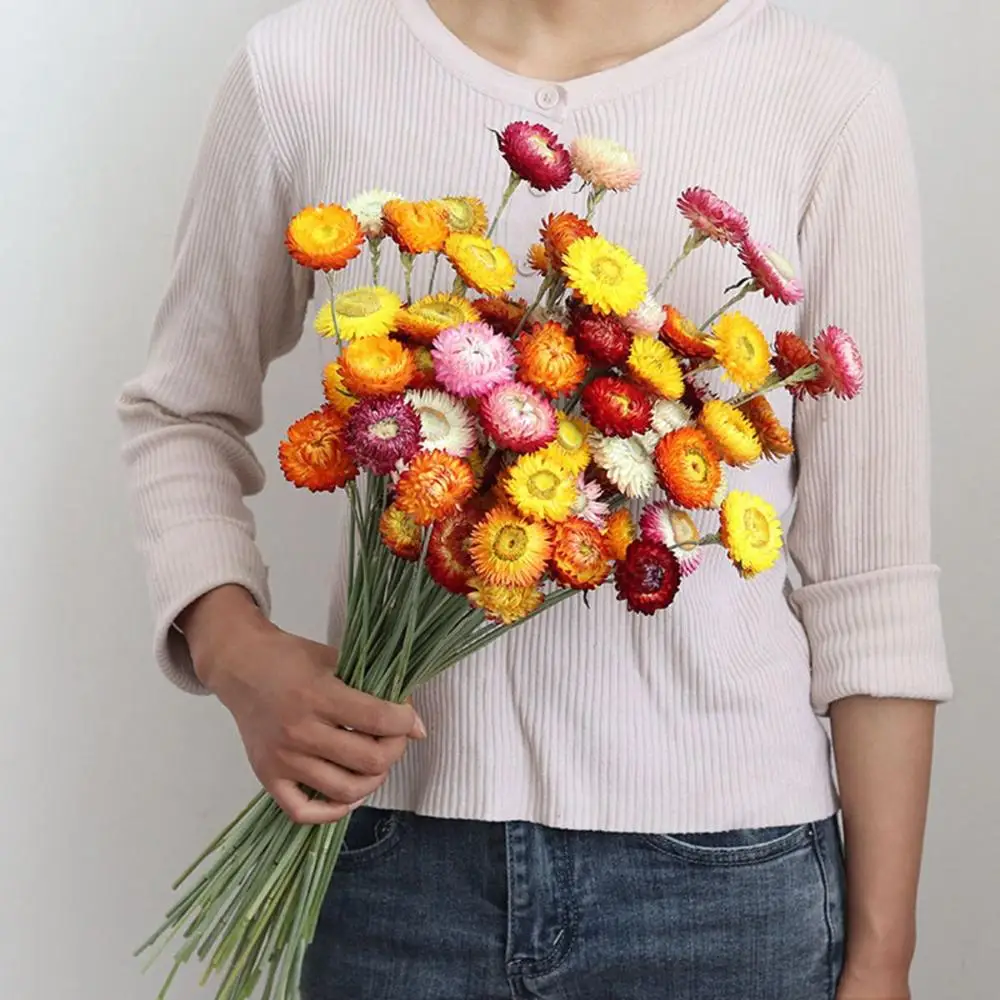 Startseite 20 Stück Blumenstrauß Boho DIY Dekoration Strohblumen Blumenarrangements Getrocknete Gänseblümchen Chrysantheme