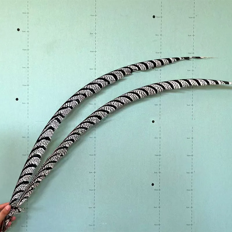10Pcs 60-100 cm Natural Lady Amherst Pheasant Tail Feathers for Crafts Long Feather Clothes Decor Festival Carnival Accessories