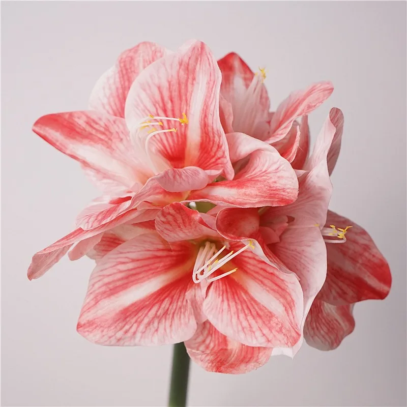 Simulate Moisturizing Monarch Clivia Handmade Flower Vase, Home Accessories, Wedding Supplies, New Year's Eve Decorations