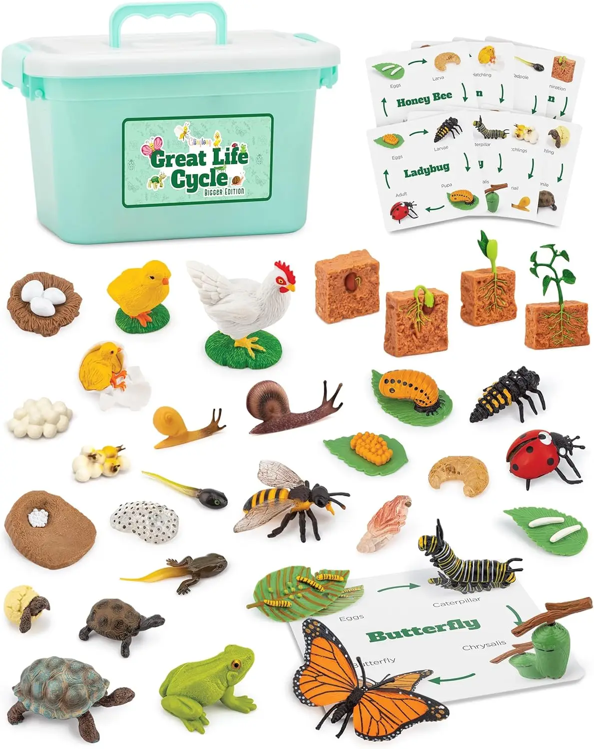 

Life Cycle Animal Kit - 32 Piece Montessori Science Toy with Frog Ladybug Butterfly Bee Chicken Turtle Snail & Plant Figurines