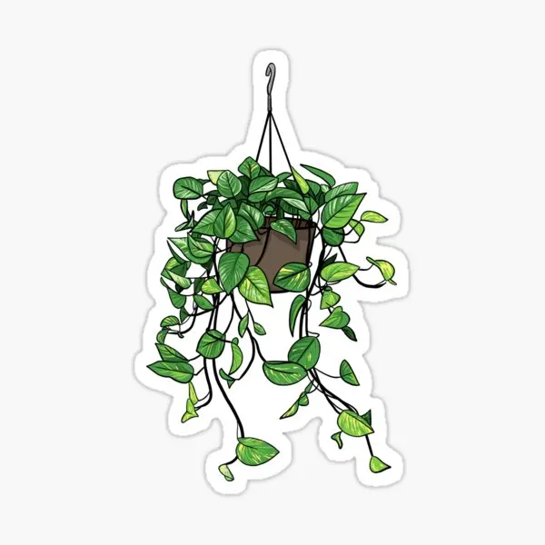 

5 шт., декоративные бутылки для воды, для ноутбука