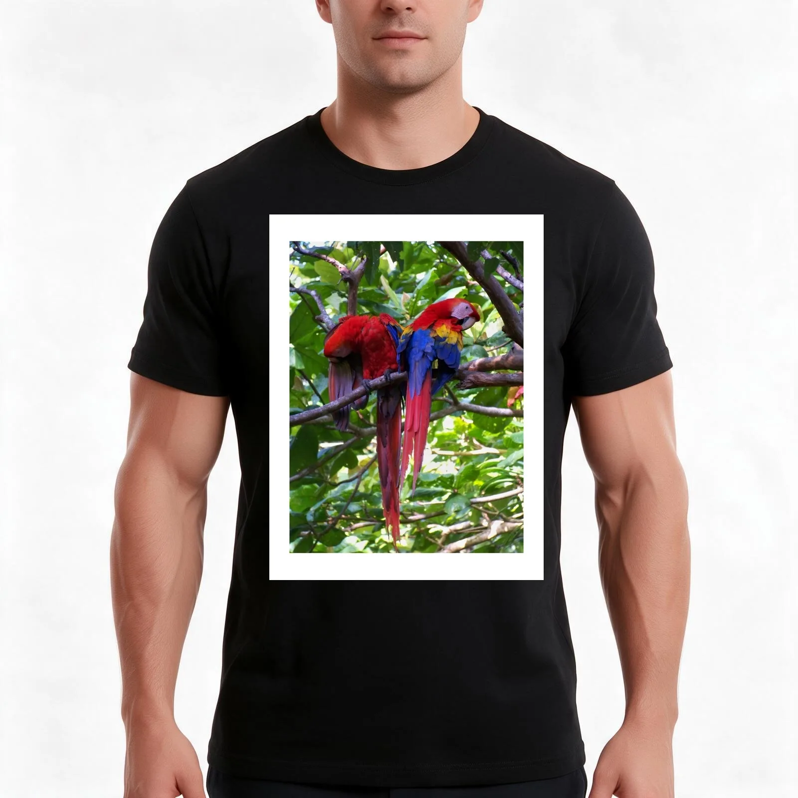 Scarlet Macaws T-Shirt Summer Casual Cotton Tee Oversized Streetwear Tops Vintage Graphic Print Loose Fit Short Sleeve
