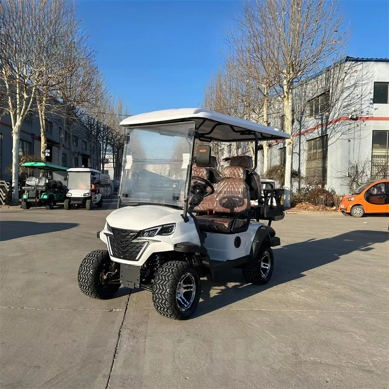 Заводская поставка 2, 4-местная мини-тележка для гольфа, внедорожная роскошная электрическая тележка для гольфа, многоцелевой автомобиль, розовая, может быть изготовлена по индивидуальному заказу