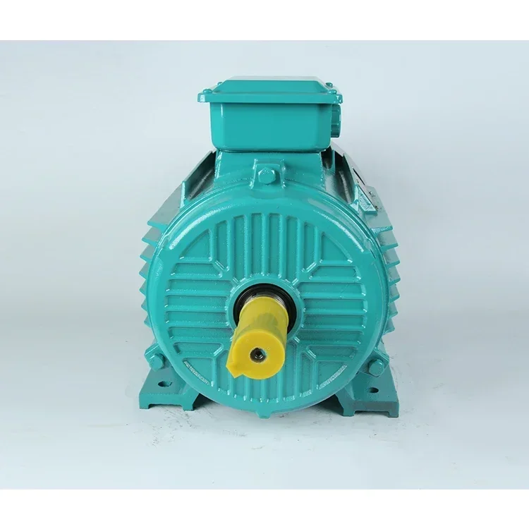 11kw 18kw 18.5kw 22kw 30kw 100kw 130kw 132kw 160kw 200kw 250kw 380v Ye2 Three Phase Ac Electric Motor Induction