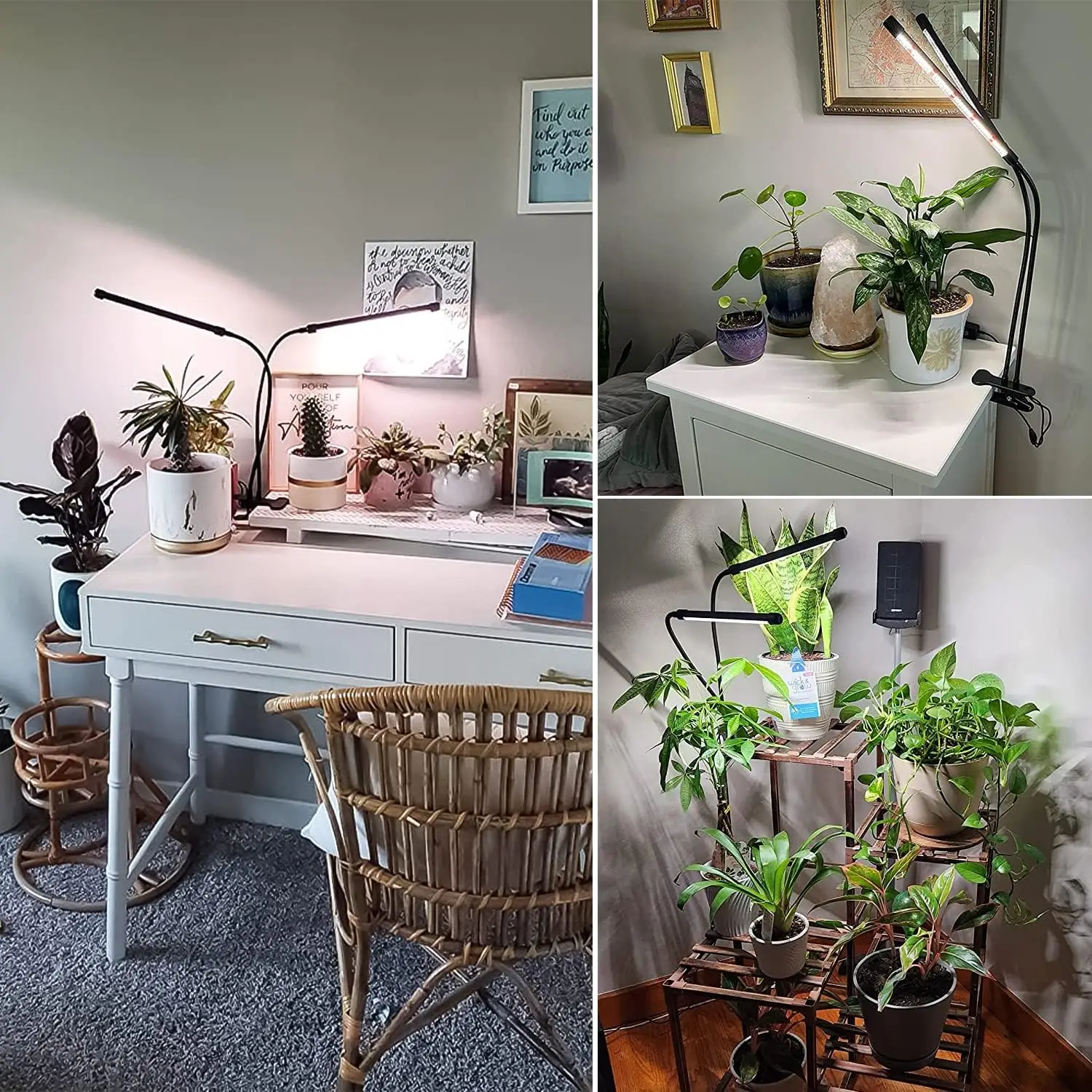 พืชในร่ม Growth Light Spectrum เต็ม 80LED โรงงานสําหรับในร่ม Growth 3/9/12 H จับเวลา 3 โหมดสีและ 9 ระดับความสว่าง