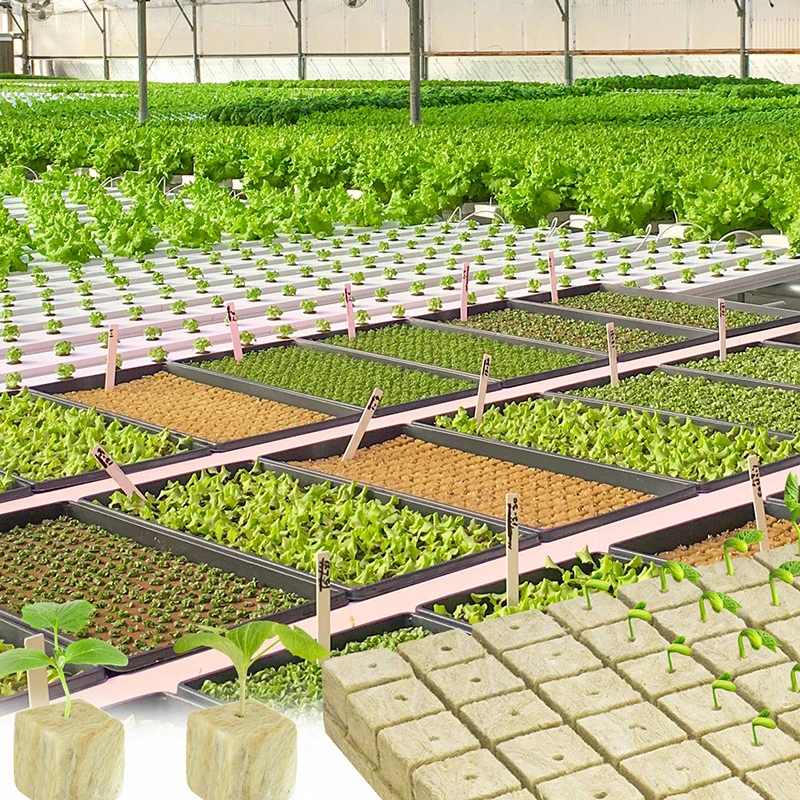 مكعبات وسائط الزراعة المائية ، دفيئة حديقة منزلية ، صخور زراعة إسفنجية ، سدادات بدء الصوف ، أدوات الحدائق ، 36: 50: 50 #4