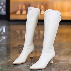 Sexy Stiletto High Heels Women Over-the-Knee Boots Pointed Toe Strippers Ladies Shoes Pole Dancing Long boots