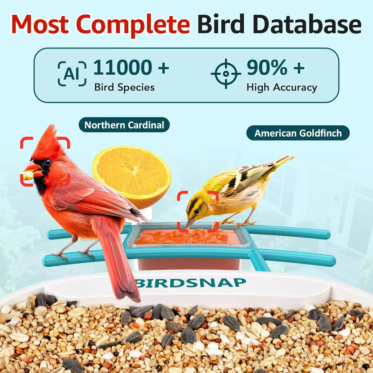 كاميرا تغذية الطيور عالية الدقة 2K مع لوحة شمسية، وبطاقة 32 جيجابايت، والتعرف على الذكاء الاصطناعي والرؤية الليلية لمشاهدة الطيور في الهواء الطلق