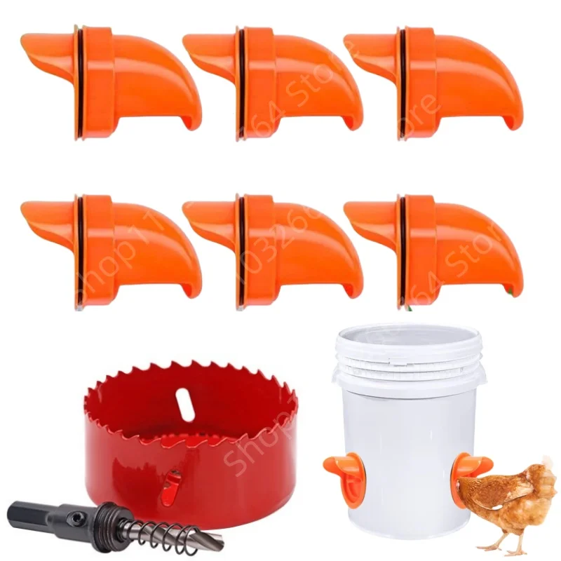 #75 Discounted Automatic Feeders Worth Buying