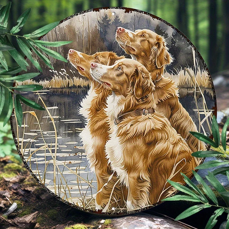 Nova Scotia Duck Tolling Retriever – 20,3 x 20,3 cm großes rundes Aluminium-Wandschild |   UV- und kratzfeste, einfach zu hängende Dekoration für Haus und Garten