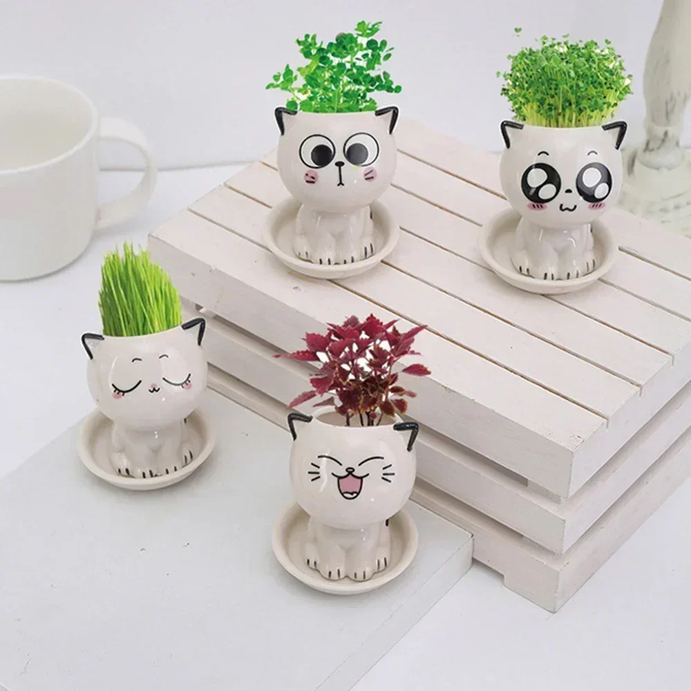 Ceramic Flowerpot Mini Cat Shaped Cartoon Cute Potted Plant Desktop Potted Expression Cat Plant Pot Desk Decorate Small Ornament